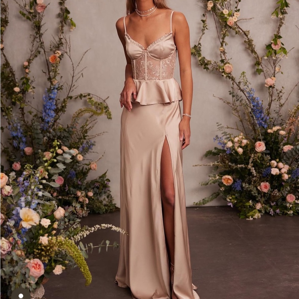 NWT V. Chapman Dianthus Beige Satin Gown Dress 2 Lace Bustier Prom
